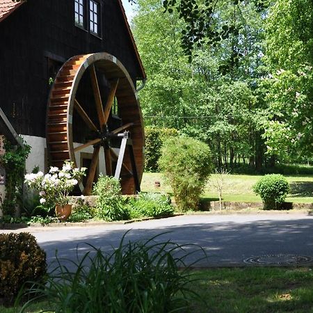 Landgasthof Geiersmuhle Hotel Vielbrunn Екстериор снимка