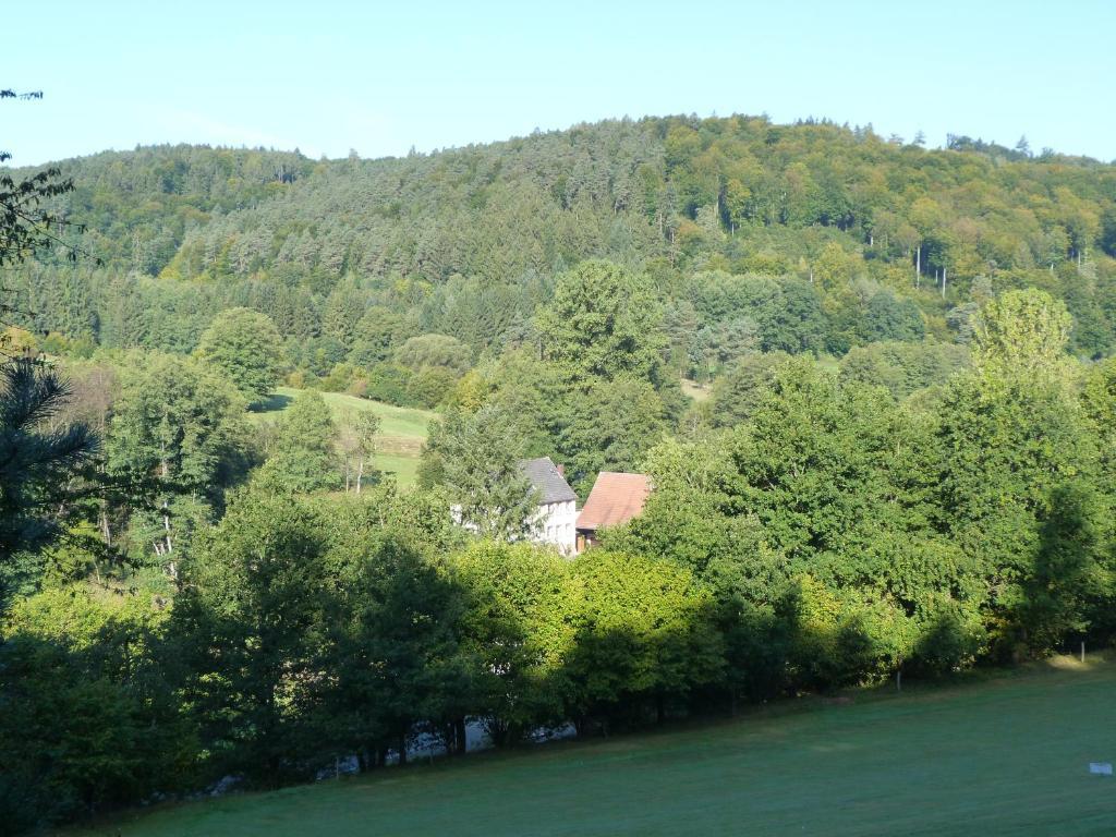 Landgasthof Geiersmuhle Hotel Vielbrunn Екстериор снимка